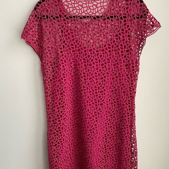 Adam Lippes Pink Net Dress - Picture 3 of 5